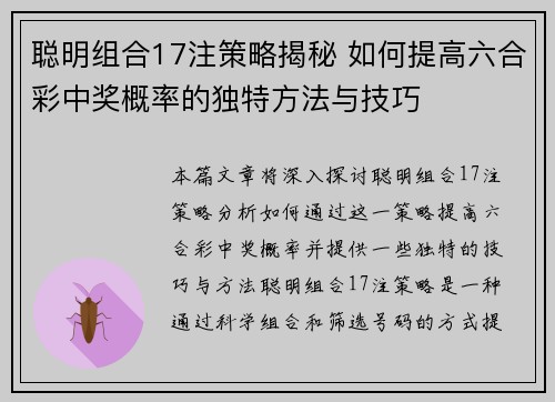 聪明组合17注策略揭秘 如何提高六合彩中奖概率的独特方法与技巧